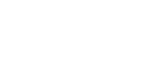 Block Island Veterinary Initiative